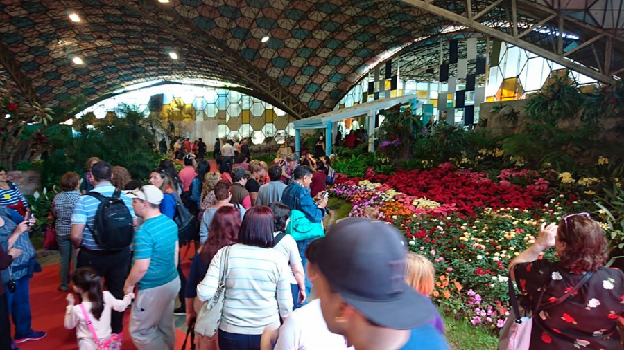 Arrancó la Fiesta Nacional de la Flor 2022 en Escobar