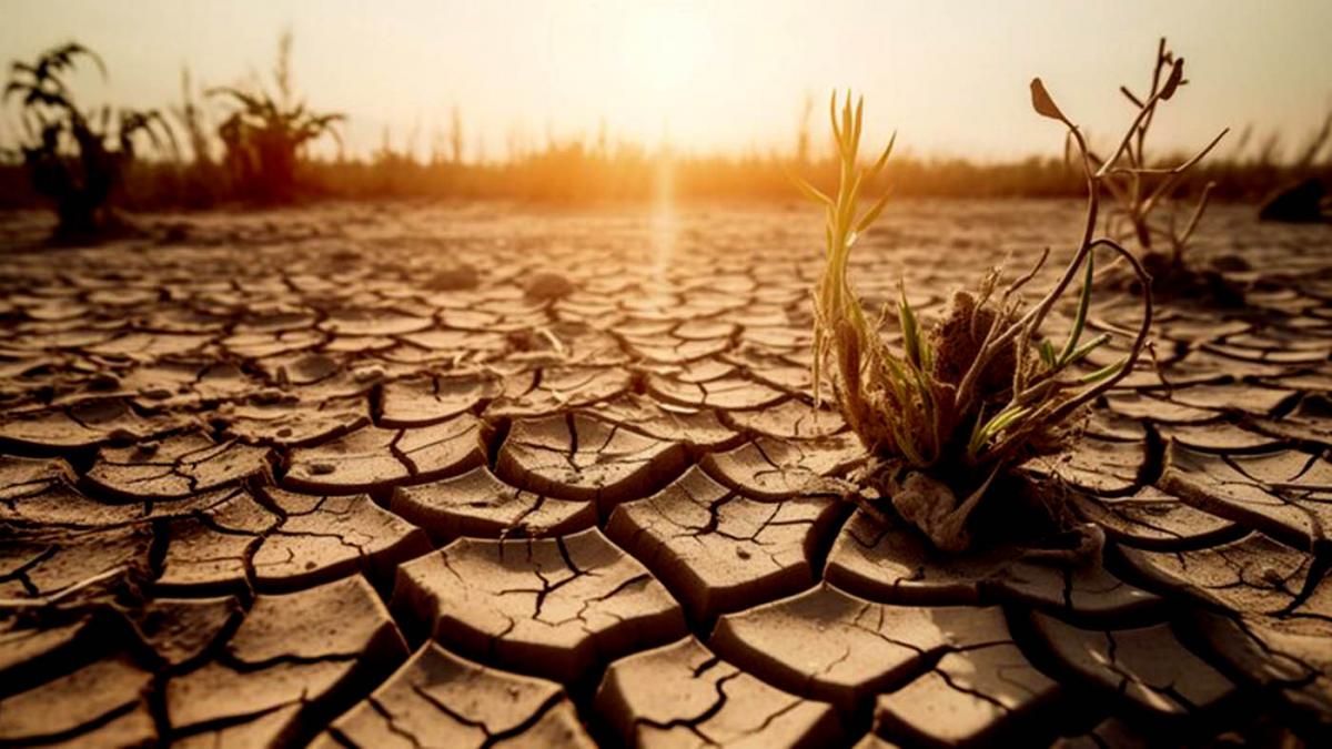 A un día del inicio de la 28° Conferencia de las Partes (COP28), varias ONG alertaron este miércoles sobre los riesgos del cambio climático, entre ellos el agravamiento de la crisis del hambre y de la educación de los más pequeños, sobre todo de las niñas.