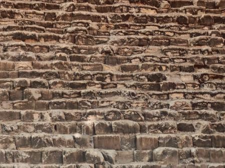 La turista que tomó la foto no se dio cuenta de que, en uno de los grandes escalones de piedra, había un perro, ya que su color se camuflaba con la pirámide